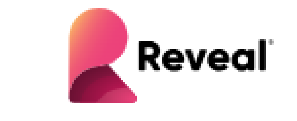 Revealbi.io