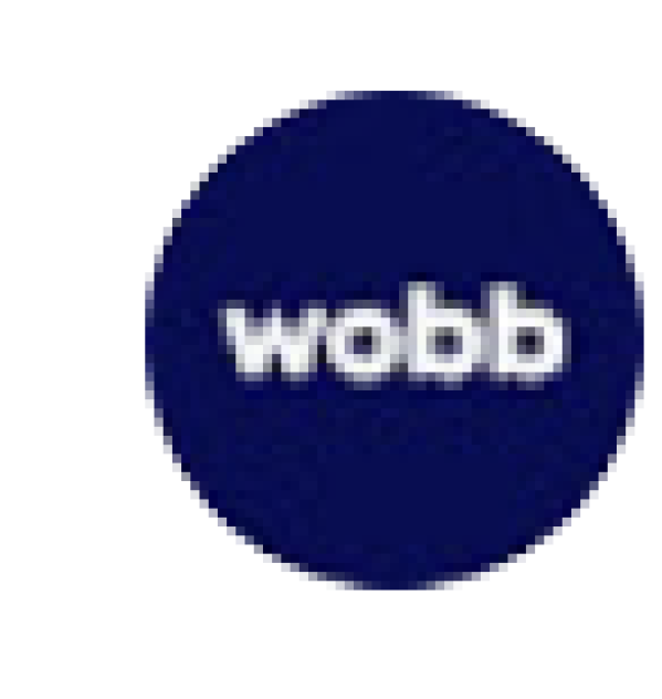 wobb.ai
