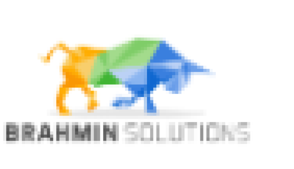 Brahmin Solutions