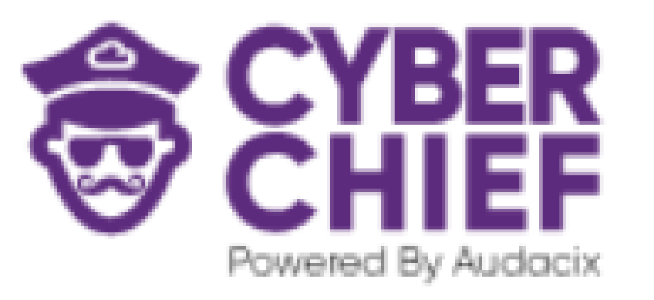 Cyber Chief