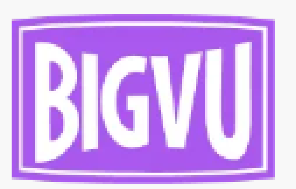 BIGVU