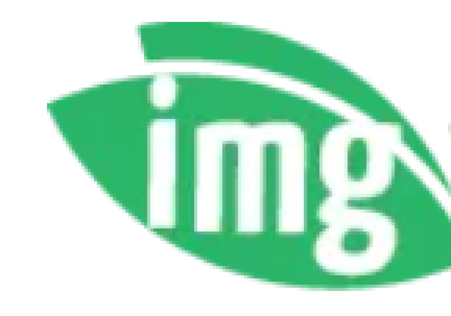 Img.vision