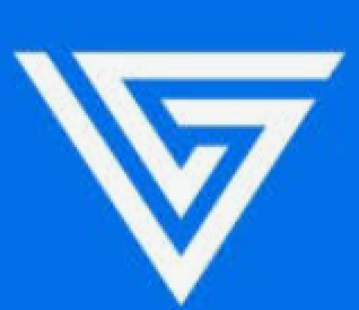 Vidalytics