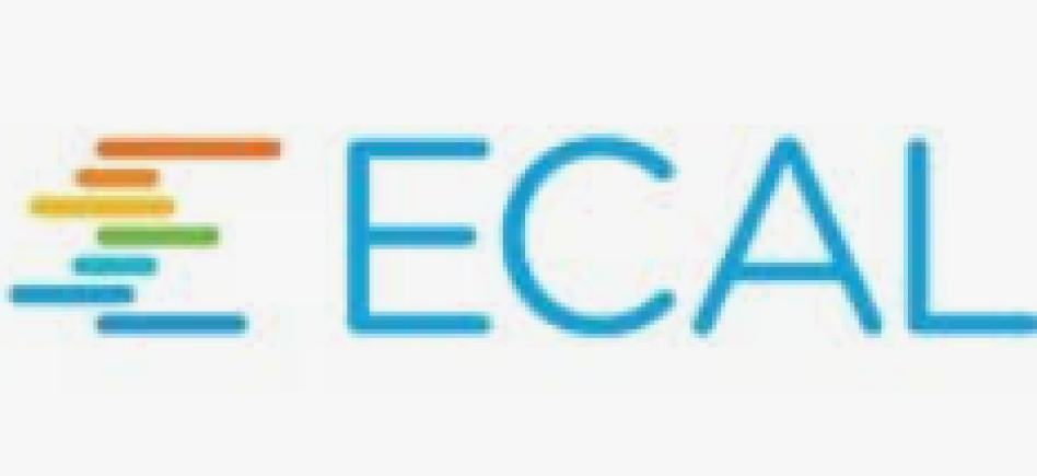 ECAL