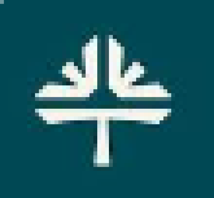Tebra