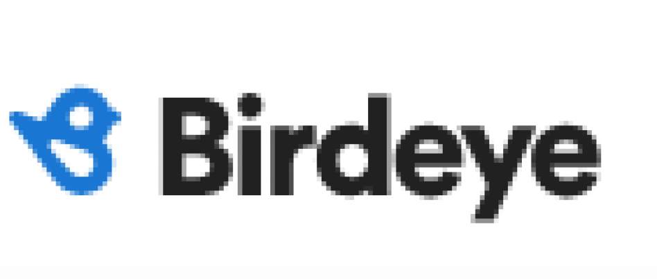 Birdeye