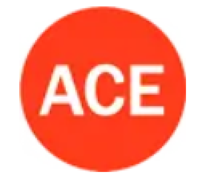 ACE Retail POS