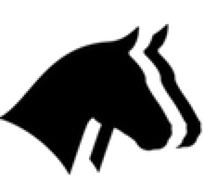 Horse Report System