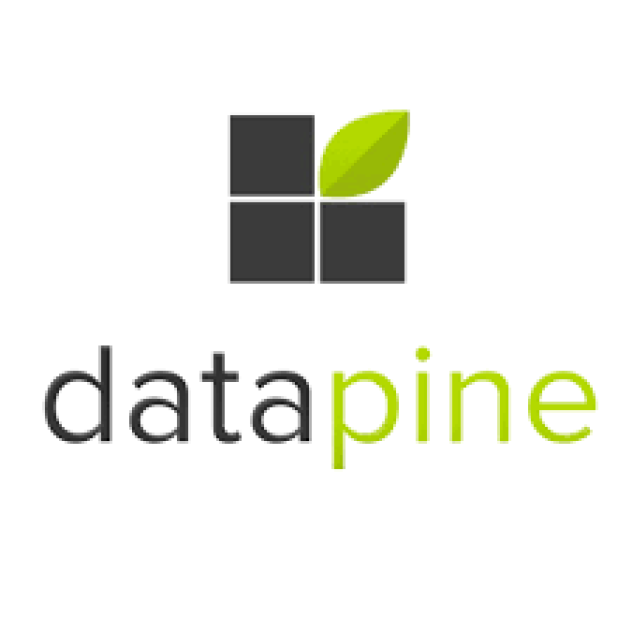 Datapine