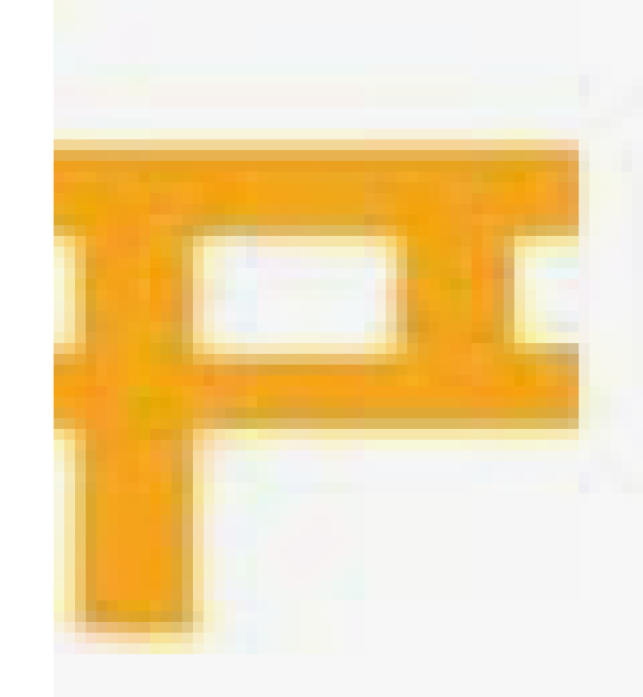 Pocomos