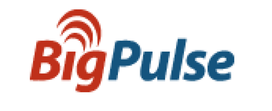 Bigpulse