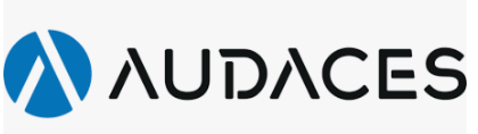 Audaces 360