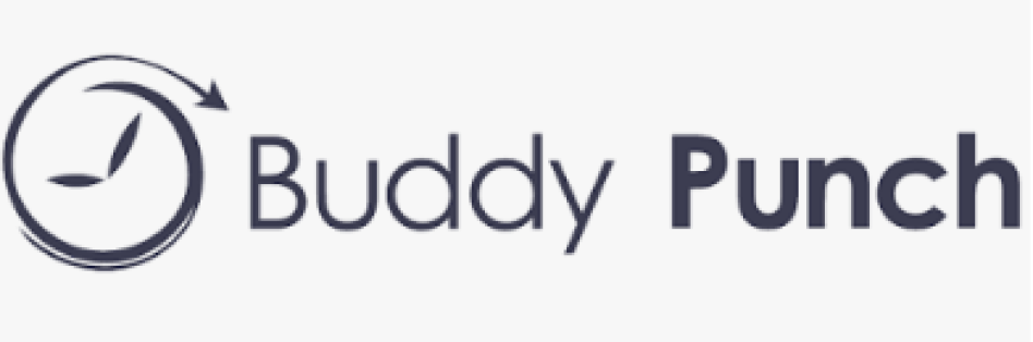 Buddy punch