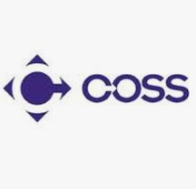 Coss erp