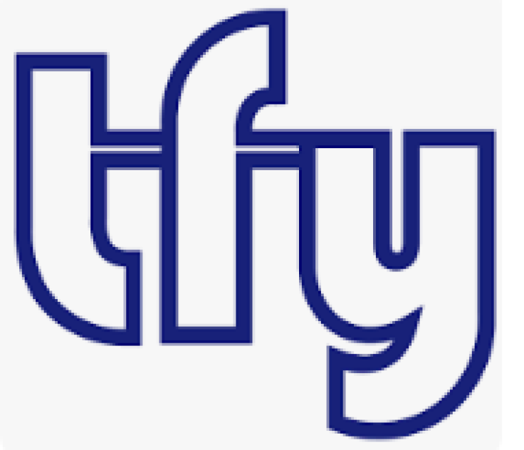 Transformify