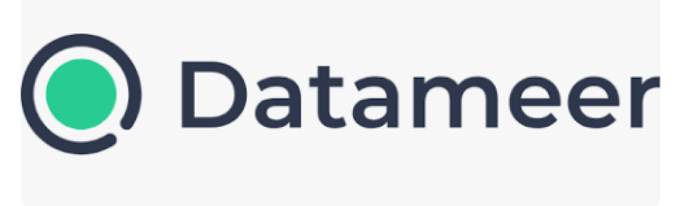 Datameer