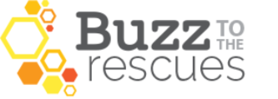 Buzz to the resuces