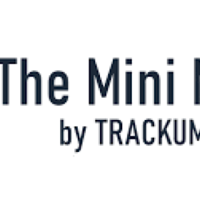 Mini-Manager