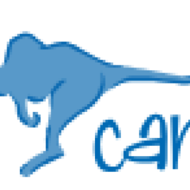 BlueCamroo