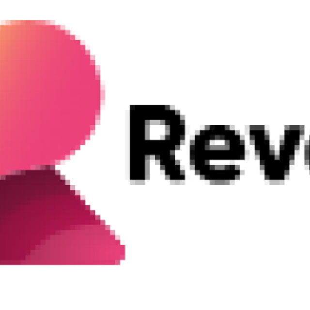 Revealbi.io