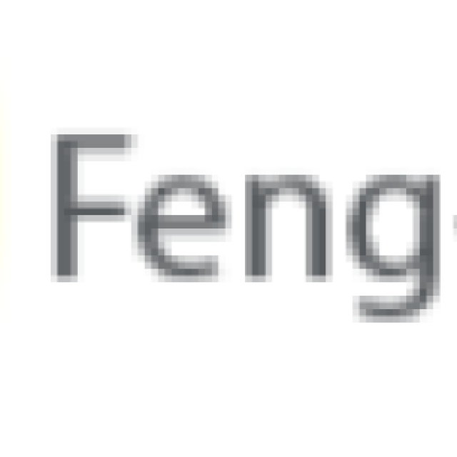 Feng-GUI