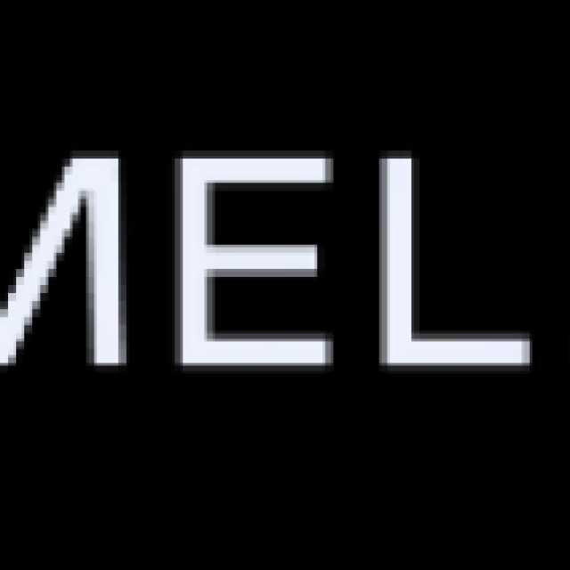 Flamel.AI