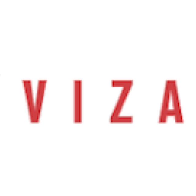 Vizard