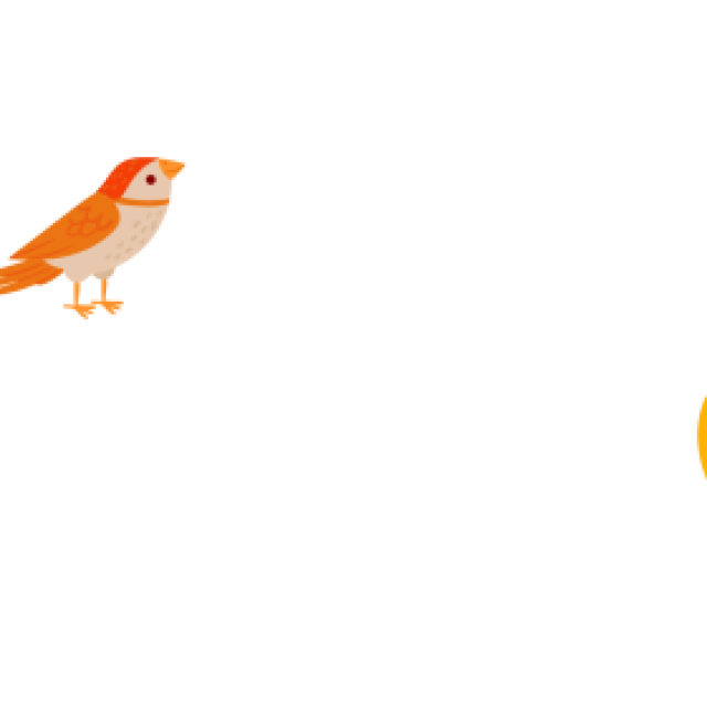 DCatalog