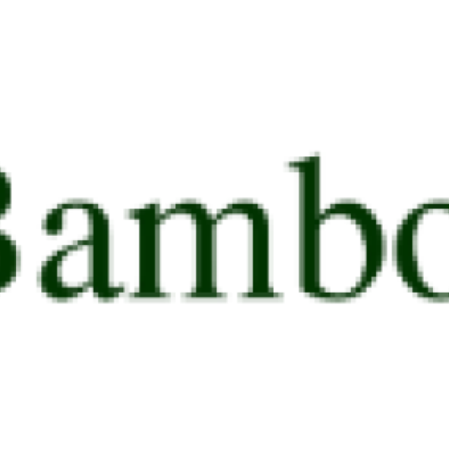 BambooBox