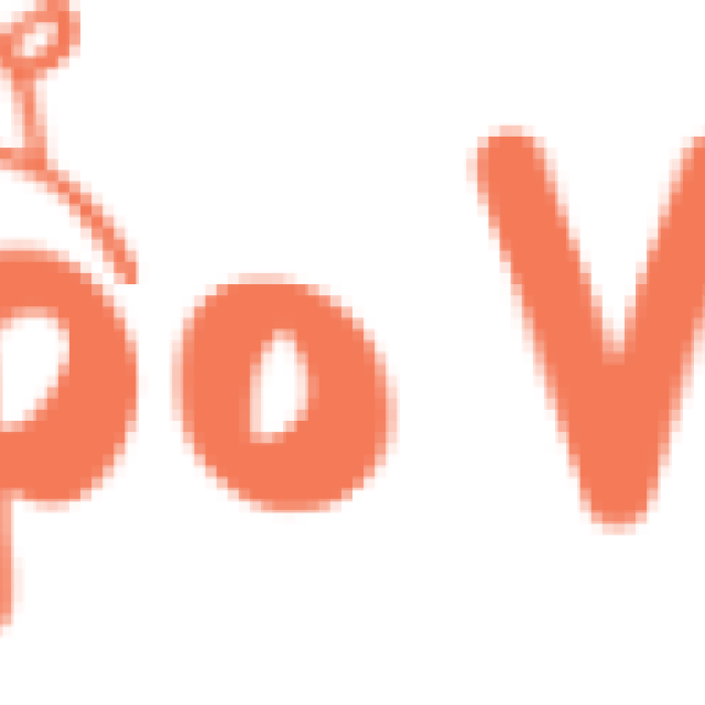 Hippo Video