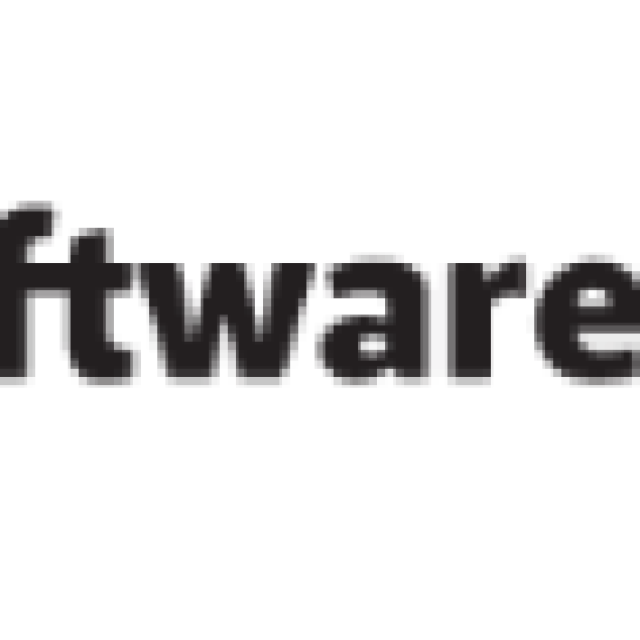 SoftwarePundit