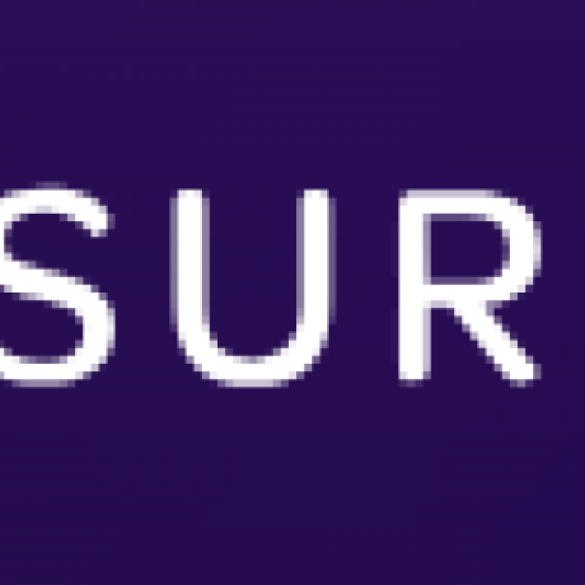 Surfer