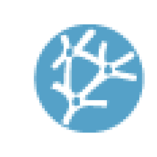 Neural Designer