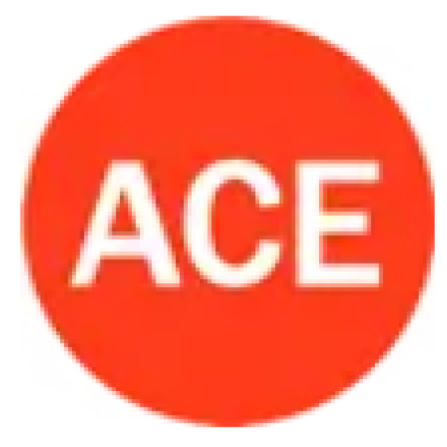 ACE Retail POS