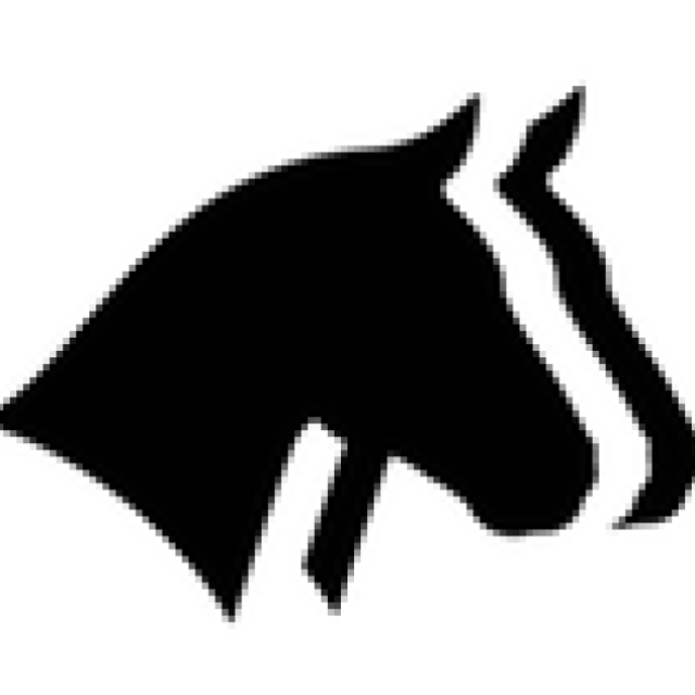 Horse Report System