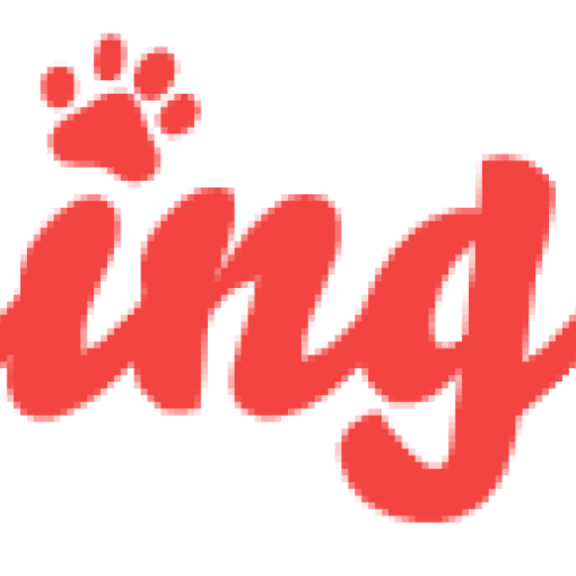 Gingr