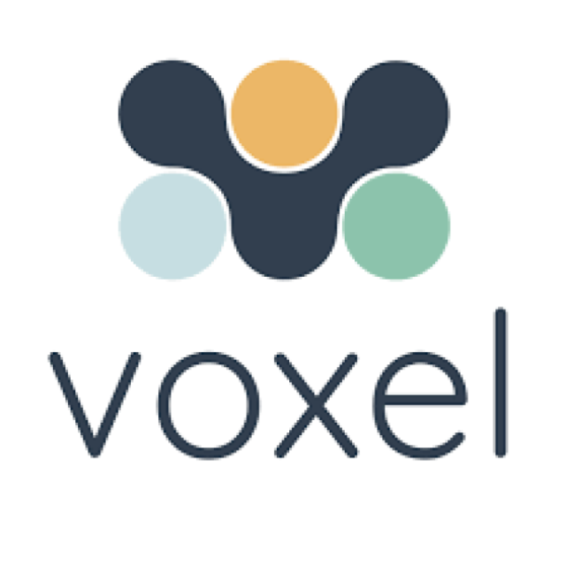 Voxel