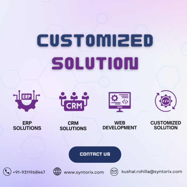 Grow Business Rapidly With Custom Business Solutions