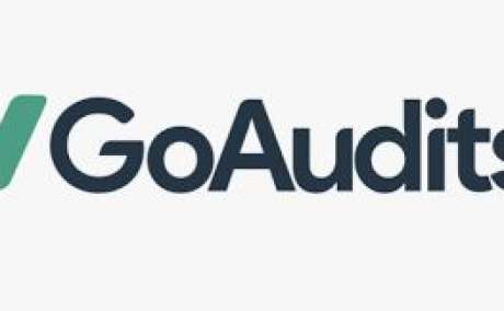 GoAudits