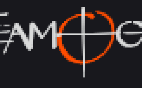 Teamogy
