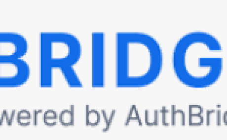 iBridge