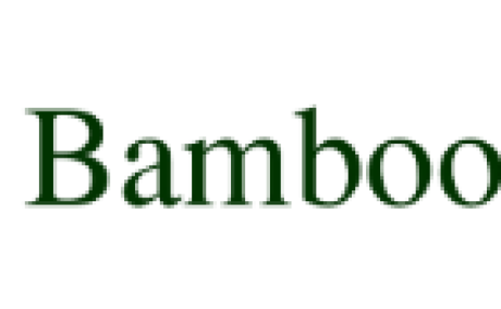 BambooBox