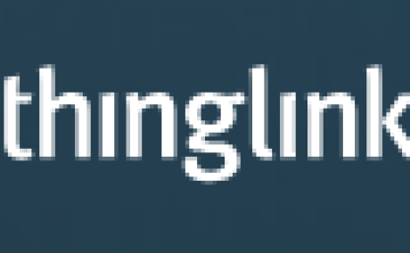 ThingLink