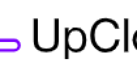 UpCloud