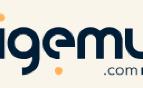 Digemy