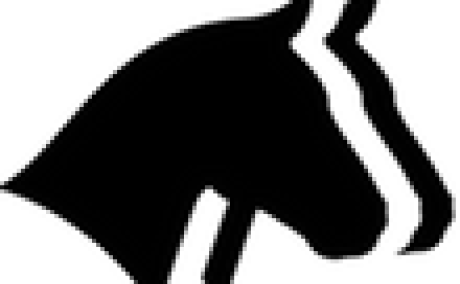 Horse Report System