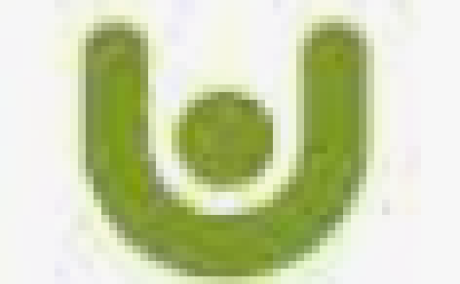 Ubindi