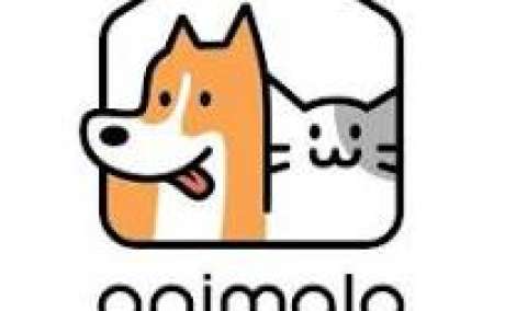 Animalo
