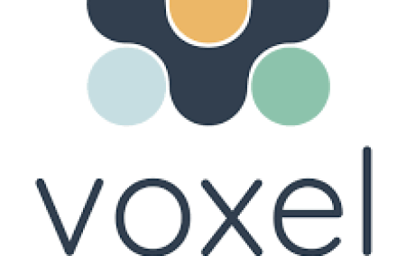 Voxel