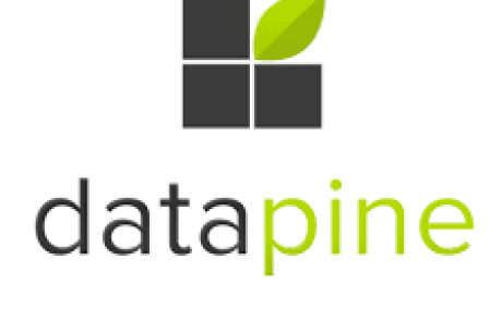 Datapine
